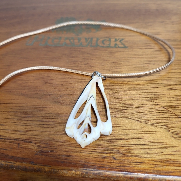 Vintage Natural Sea Shell Slice Necklace Pendant - Picture 8 of 14